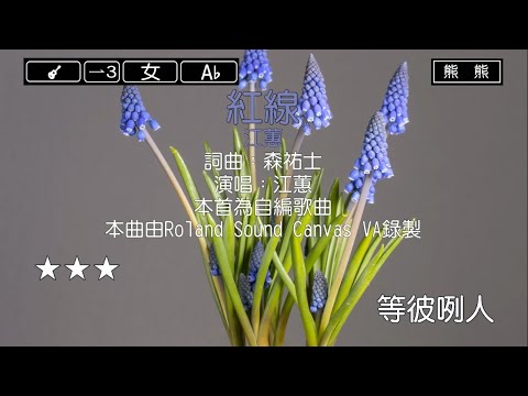 紅線-江蕙(Karaoke伴奏)