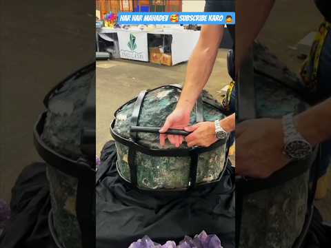 🙇Jay Ganesh Deva 🙇 #vectorworld #short