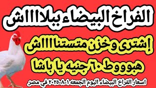 اسعار الفراخ البيضاء اليوم/ سعر الفراخ البيضاء اليوم الجمعه ١-٨-٢٠٢٥ في مصر جمله وقطاعي