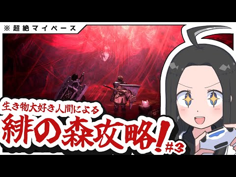 【チャアクで行くワイルズ初見攻略#3】ここの水はなんで赤いんですか！？！？丨Monster Hunter Wilds gameplay