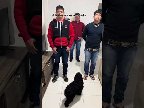 No a todos nos tocó igual