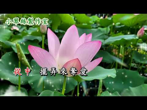 恨海情天 – 文千歲 小翠絲 (調寄:花間蝶)