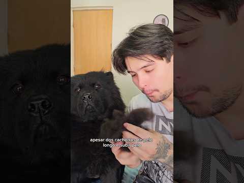 SOS PELOS - QUEM SOLTA MAIS PELOS (EP:3) #pelo #dog #comedia
