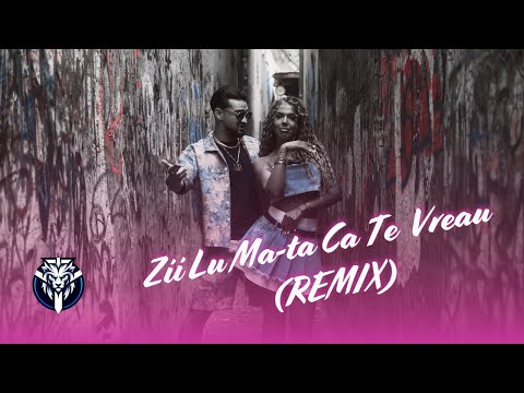 Stefaan Junnior - Zii Lu Ma-ta Ca Te Vreau (Vladof DJ Remix)