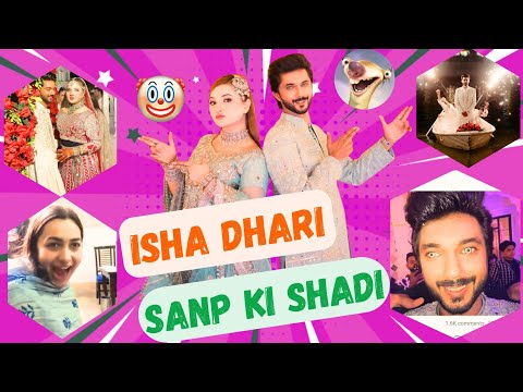 Rabeeca Khan & Hussain Tareen Wedding Roasted On Social Media