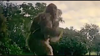 THIS IS WHAT HAPPENED AFTER A TRAIL CAM WAS SETUP IN THE WOODS!!