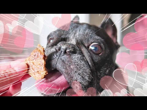 犬友さんの手作りレバークッキー