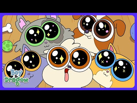 Boy & Dragon - Dragon's New Pet! | Kids Cartoons | WildBrain Action Arena