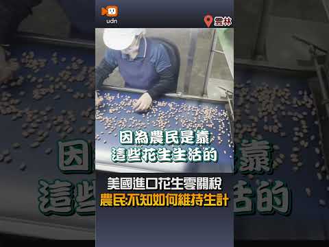 【要聞】美國進口花生零關稅 農民：不知如何維持生計