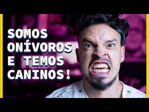 #27 TEMOS CANINOS!!!