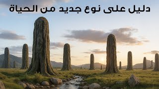 علماء الحفريات يكتشفون شكل حياة قديم لا ينتمي إلى كوكب الأرض