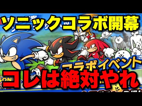 猫の動画サムネイル - ソニックコラボ始まったぞ！絶対にやるべきポイントを解説！　#にゃんこ大戦争　#battlecats  #ソニックザヘッジホッグ