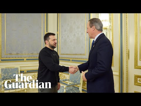 Ukraine: David Cameron meets Zelenskiy and pledges continued UK military support