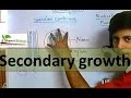 Secondary Growth in Plants