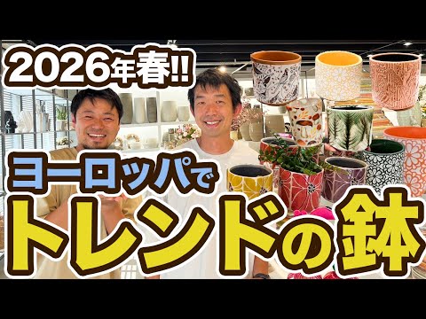 2026年の鉢トレンドを先取り！ヨーロッパ最新展示に驚愕しました【園芸情報】