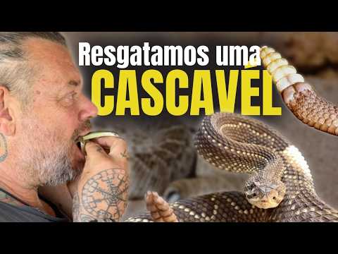 A SERPENTE MAIS PERIGOSA DA AMÉRICA! O ENCONTRO COM UMA CASCAVEL!