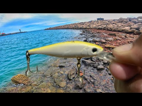 PESCARIA DE PEIXES GRANDES NO MAR COM ULTRA LIGHT. O MOLINETE CANTOU