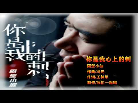 隔壁小波   你是我心上的刺   KTV