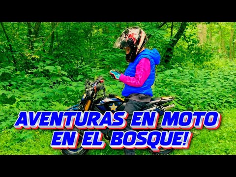 Den y las Historias de miedo del Bosque! | Aventuras en Moto en el Bosque!