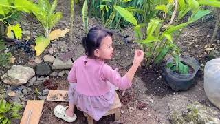 Main di kebunnn🌲🌳🌴