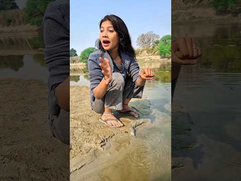 कारे करिवा काव लखात बाटे // #shorts #surajroxfunnyvibeo #surajroxfunny #shortsfeed #trendingshorts
