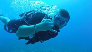 Dive Oahu Scuba Diving Scooter - DPV Diver Propulsion Vehicles