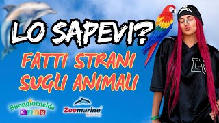 Eva Stella INCONTRA GLI ANIMALI DIVERTENTI di Zoomarine