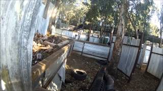 Kab Bab Airsoft: What Is Beit Berl For Us?