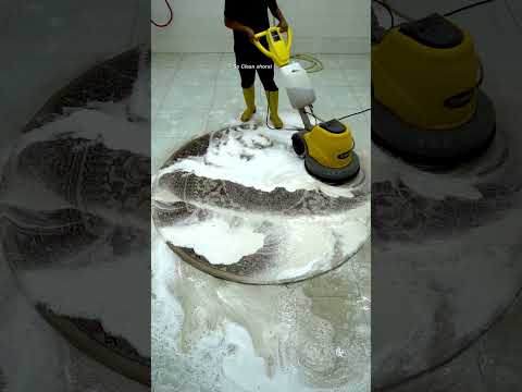 Allergen Reduction – Methods that help minimize allergens trapped in carpet fibers.