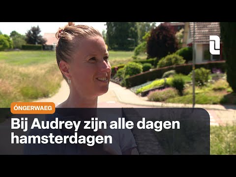 Óngerwaeg is voor een soort vakantie in Wahlwiller