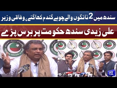 Ali Zaidi bashes PPP Govt | Press Conference | Dunya News