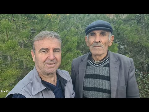 ŞÜKRÜ AMCA İLE ÇAM KOZALAĞI TOPLADIK ÇAM KOZALAĞININ ŞAŞIRTAN ŞİFASI