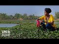 Water Ecosystems and Management Concepts