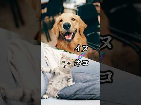 遺伝子が混ざり合った動物の衝撃の姿🧬☠️