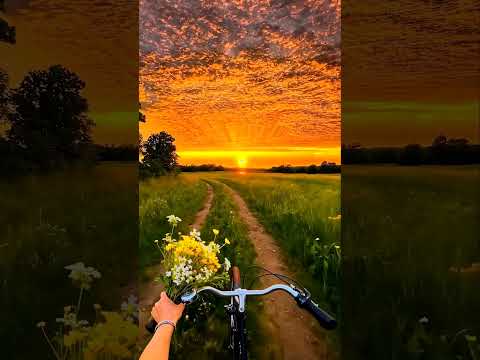 Heaven on Earth 🌿 | Relaxing Nature Scenery #foryou #trending #viral #shortsfeed #nature