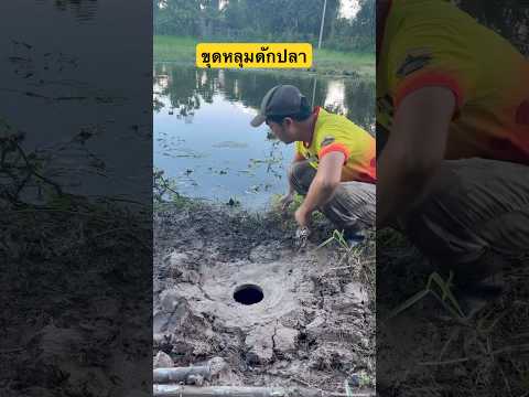 ขุดหลุมดักปลา#พี่เอ็มขุมทรัพย์