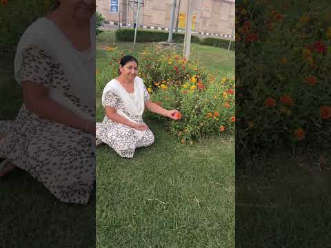 श्याम भी खुब है#सोर्ट्स#वायरल #विडीयो 26 अक्तूबर 2025