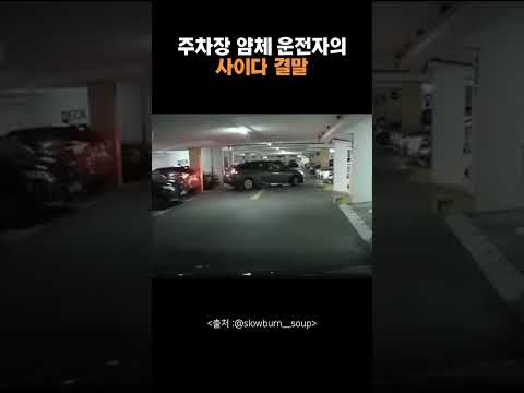 주차장 얌체 운전자의 사이다 결말