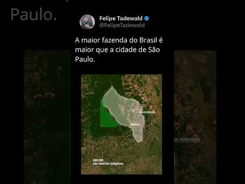 A MAIOR FAZENDA DO BRASIL É MAIOR DO QUE SÃO PAULO. VOCÊ CONHECE?