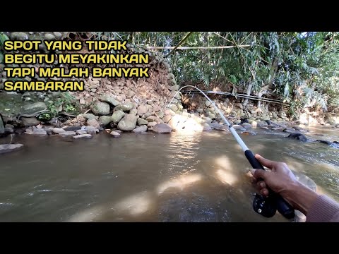 Mancing di Spot Yang Tidak Begitu Meyakinkan Malah Banyak Sambaran #LM20
