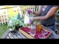 Natural Insecticides for Gardens