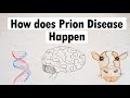 Understanding Prion Diseases and Mechanisms
