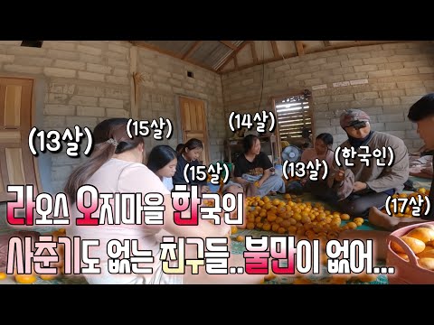 한국 옛날 시골의 '평범한 일상'과 비슷한 '반나 마을' 남남이 어디있어! 다 같이 돕는거지!