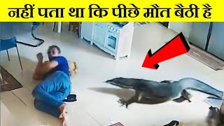 नहीं पता था कि पीछे साक्षात यमराज बैठा है || Wild Animal Encounter(part-2)#animalencounters