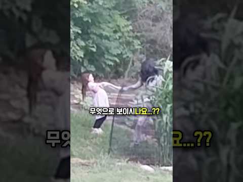 숨바꼭질을 하던 아이...이상해졌습니다😱