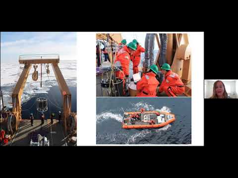 Self- Determination &amp; Sustainability | Arctic Ocean Mercury Biogeochemistry