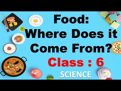 Food: Where Does It Come From | Class 6 | SCIENCE | CBSE/  NCERT / ICSE  | Full Chapter Explanation