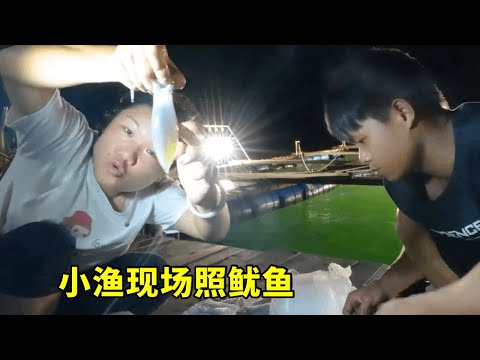 小渔出海捕捉鱿鱼，一网上来几百斤，还没上岸就已经被预定一空【渔小仙】