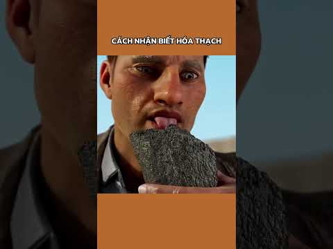 CÁCH NHẬN BIẾT HÓA THẠCH #shortvideo #viral
