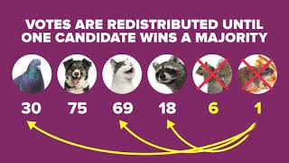 Ranked Choice Voting Explained